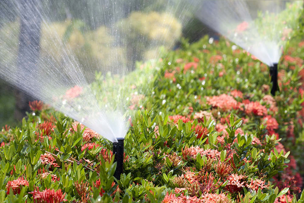 Conroe Sprinkler Systems irrigation